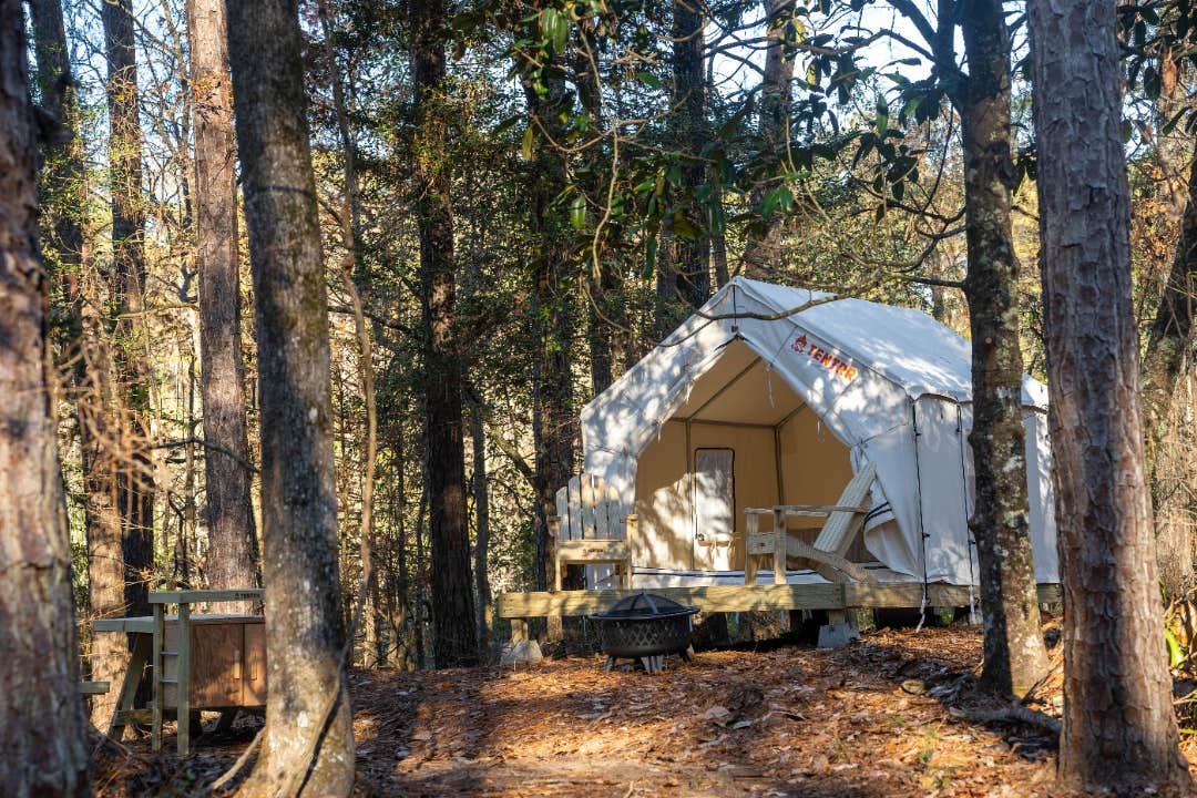 The Dyrt's photo at Tentrr State Park Site - Mississippi Clarkco State Park - Watchtower A - Single Camp near Meridian, MS