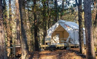The Dyrt's photo at Tentrr State Park Site - Mississippi Clarkco State Park - Watchtower A - Single Camp near Silas, AL