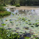 Review photo of Brazos Bend State Park Campground by Brittany S., September 27, 2018