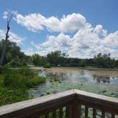 Review photo of Brazos Bend State Park Campground by Brittany S., September 27, 2018
