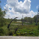 Review photo of Brazos Bend State Park Campground by Brittany S., September 27, 2018