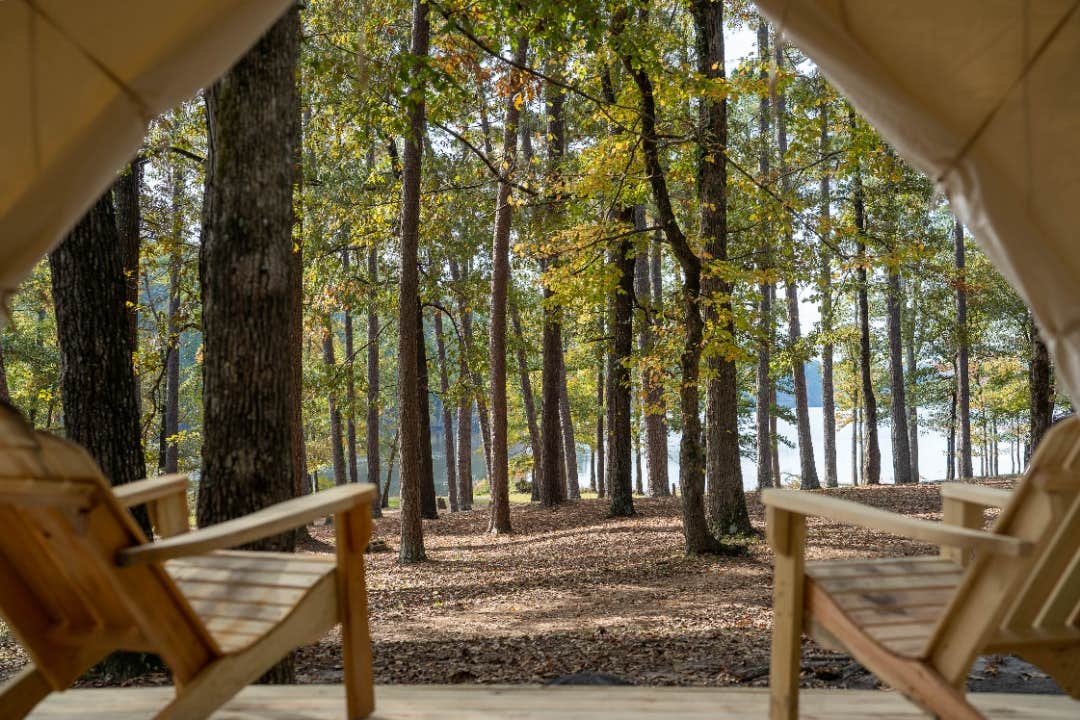 The Dyrt's photo at Tentrr State Park Site - Mississippi Roosevelt State Park - I - Single Camp near Walnut Grove, MS