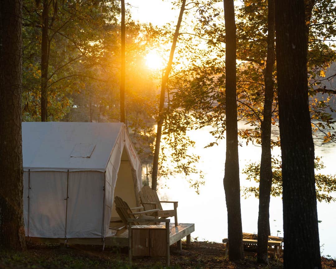 The Dyrt's photo at Tentrr State Park Site - Mississippi Percy Quin State Park - Eastside Lakeview D - Single Camp near Wesson, MS