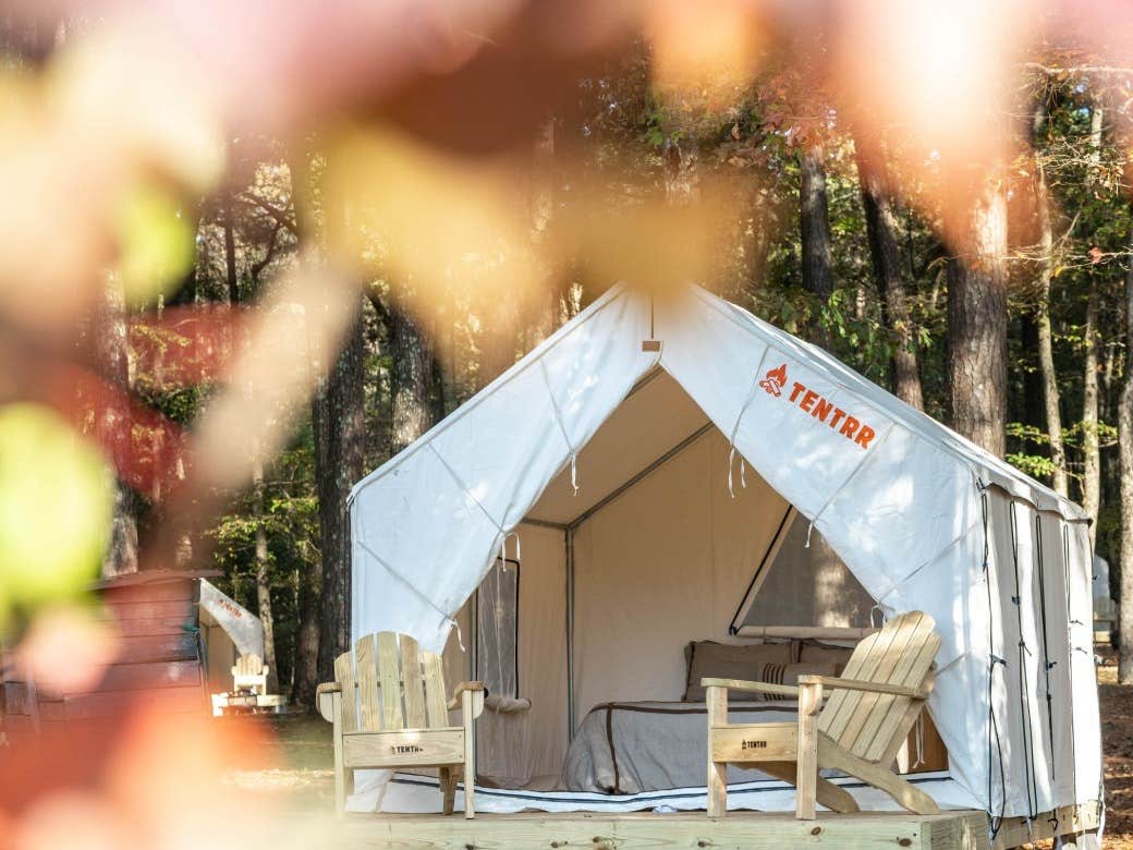 The Dyrt's photo at Tentrr State Park Site - Mississippi Roosevelt State Park - Shadow Lake E - Single Camp near Pearl, MS