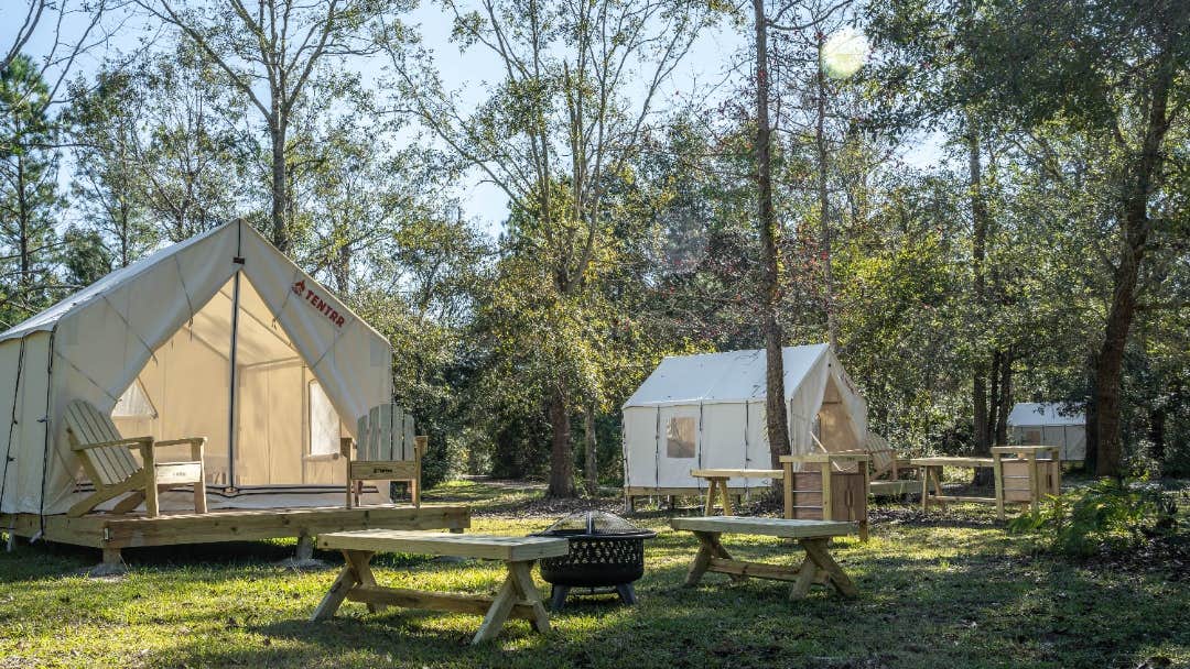 The Dyrt's photo at Tentrr State Park Site - Mississippi Buccaneer State Park - Woodland A - Double Camp - Wheelchair-Friendly near Pass Christian, MS