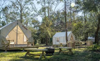 The Dyrt's photo at Tentrr State Park Site - Mississippi Buccaneer State Park - Woodland A - Double Camp - Wheelchair-Friendly near Pass Christian, MS
