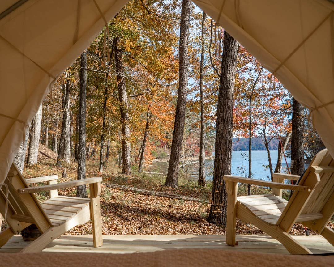 The Dyrt's photo at Tentrr State Park Site - Mississippi JP Coleman State Park - Shady Bluff C - Single Camp near Cherokee, AL