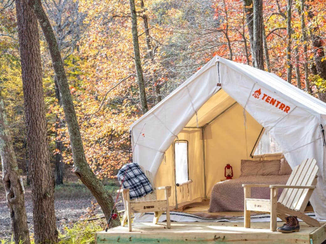 The Dyrt's photo at Tentrr State Park Site - Mississippi JP Coleman State Park - Shady Bluff C - Single Camp near Tishomingo, MS