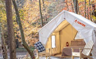 The Dyrt's photo at Tentrr State Park Site - Mississippi JP Coleman State Park - Shady Bluff C - Single Camp near Savannah, TN