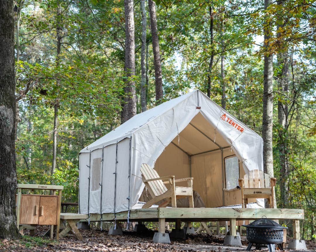 The Dyrt's photo at Tentrr State Park Site - Mississippi Roosevelt State Park - Tall Trees H - Single Camp near Ludlow, MS