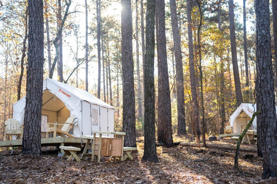 The Dyrt's photo at Tentrr State Park Site - Mississippi Clarkco State Park - Woodland B - Double Camp near Decatur, MS