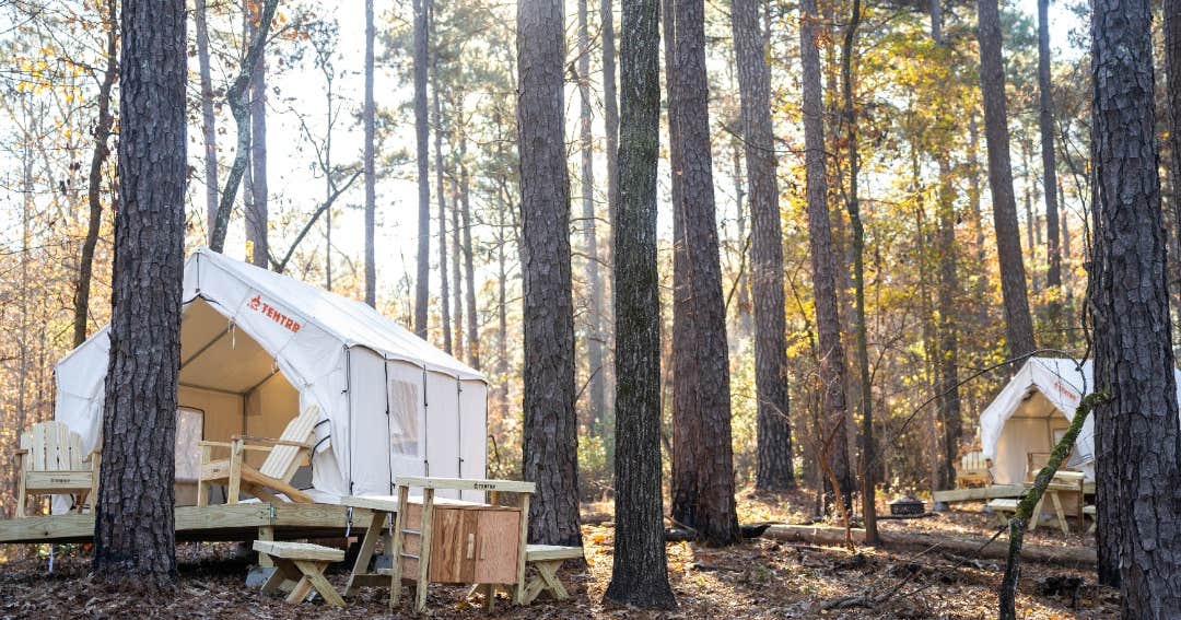 Tentrr State Park Site - Mississippi Clarkco State Park - Woodland B - Double Camp
