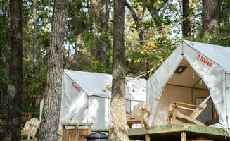 The Dyrt's photo at Tentrr State Park Site - Mississippi Roosevelt State Park - Tall Trees H - Single Camp near Brandon, MS