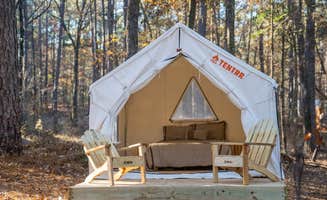 The Dyrt's photo at Tentrr State Park Site - Mississippi Clarkco State Park - Woodland B - Double Camp near Silas, AL