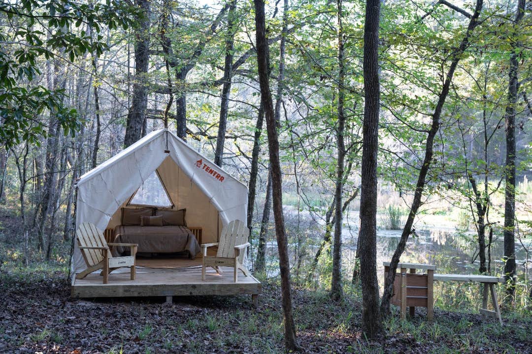 The Dyrt's photo at Tentrr State Park Site - Mississippi Percy Quin State Park - Southside Lakeview F - Single Camp near Wesson, MS