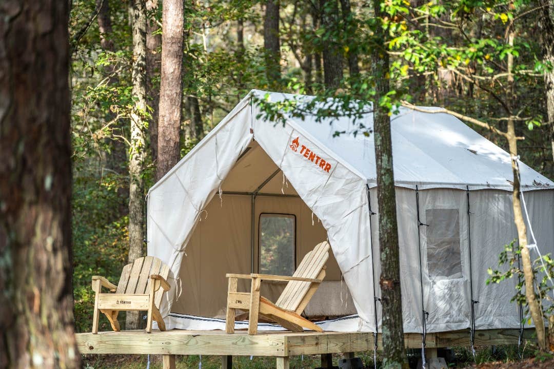 The Dyrt's photo at Tentrr State Park Site - Mississippi Roosevelt State Park - Tall Trees A - Single Camp near Forest, MS