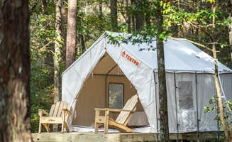 The Dyrt's photo at Tentrr State Park Site - Mississippi Roosevelt State Park - Tall Trees A - Single Camp near Pearl, MS