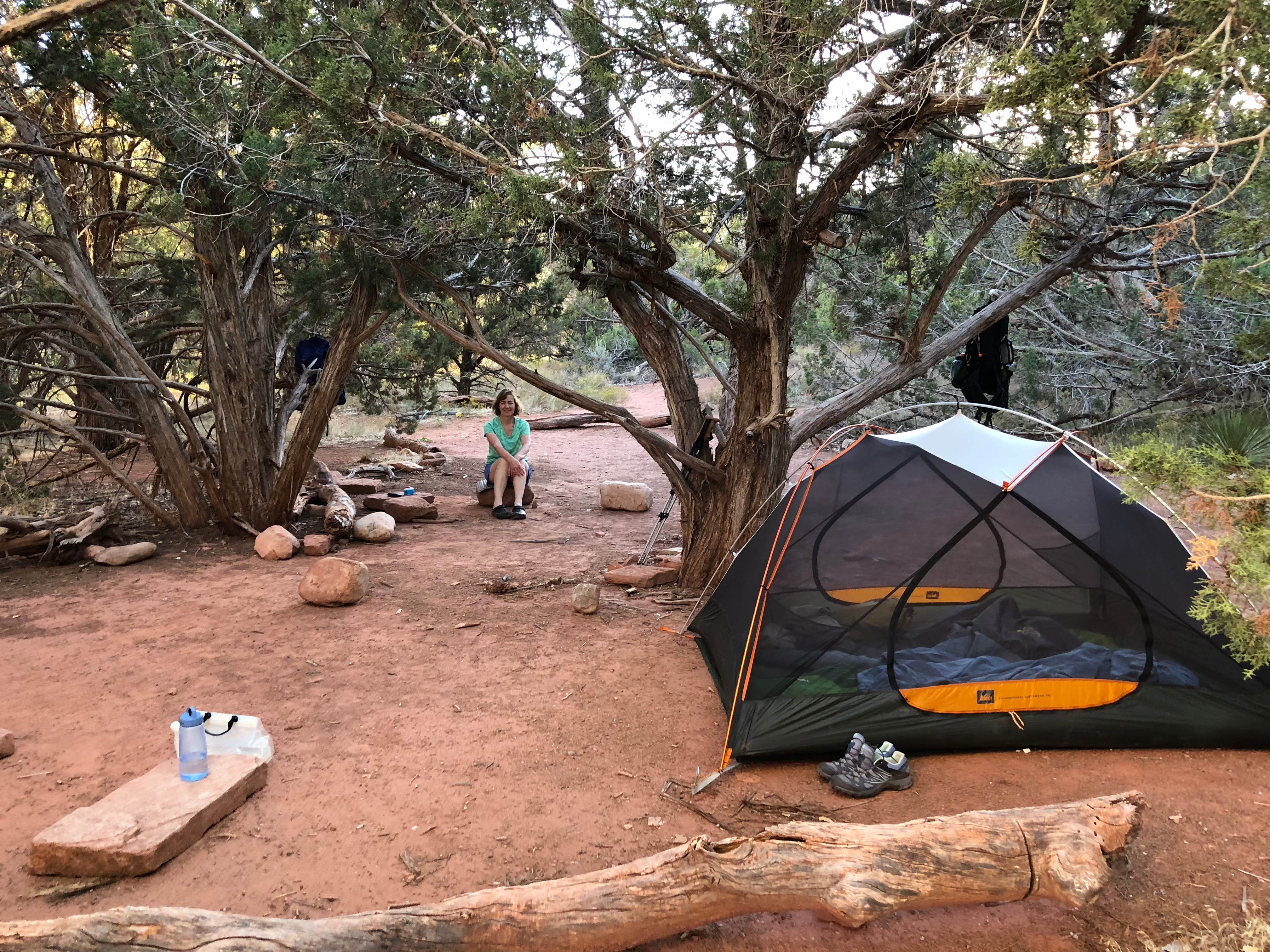 Robin H.'s photo of tent camping at La Verkin Creek Trail Campsites — Zion National Park near Veyo, UT