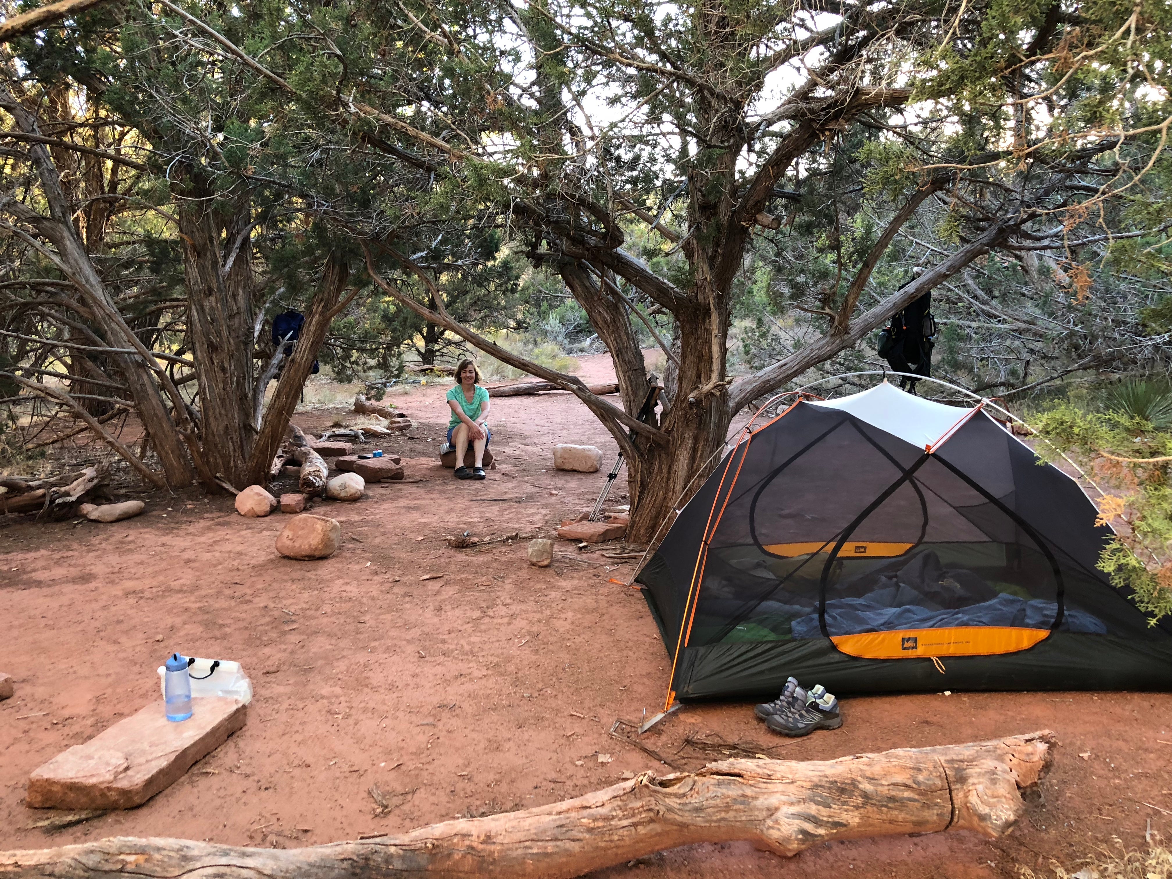 Camper submitted image from La Verkin Creek Trail Campsites — Zion National Park - 4