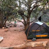 Review photo of La Verkin Creek Trail Campsites — Zion National Park by Robin H., September 29, 2018