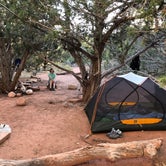 Review photo of La Verkin Creek Trail Campsites — Zion National Park by Robin H., September 29, 2018