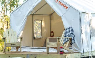 The Dyrt's photo at Tentrr State Park Site - Mississippi Buccaneer State Park - Woodland D - Single Camp near Pass Christian, MS
