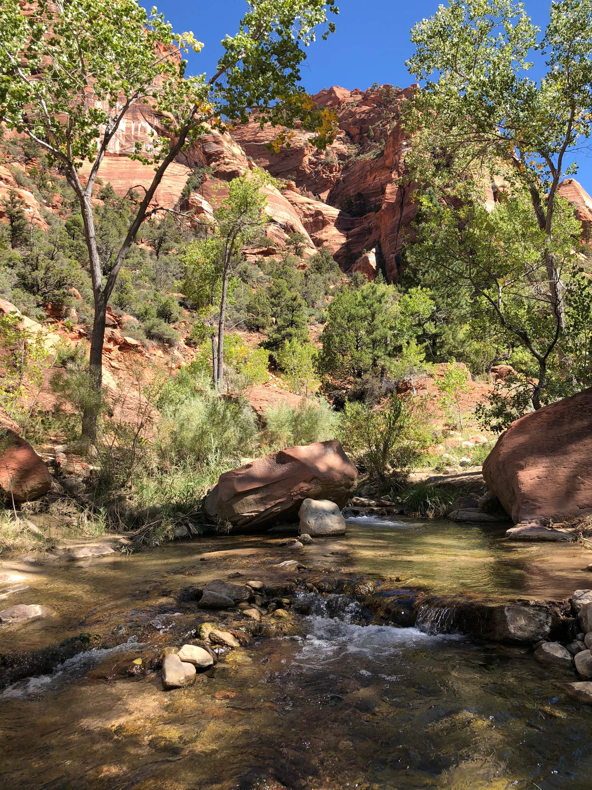 La Verkin Creek Trail Campsites 