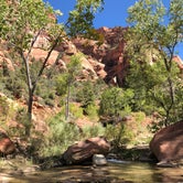 Review photo of La Verkin Creek Trail Campsites — Zion National Park by Robin H., September 29, 2018