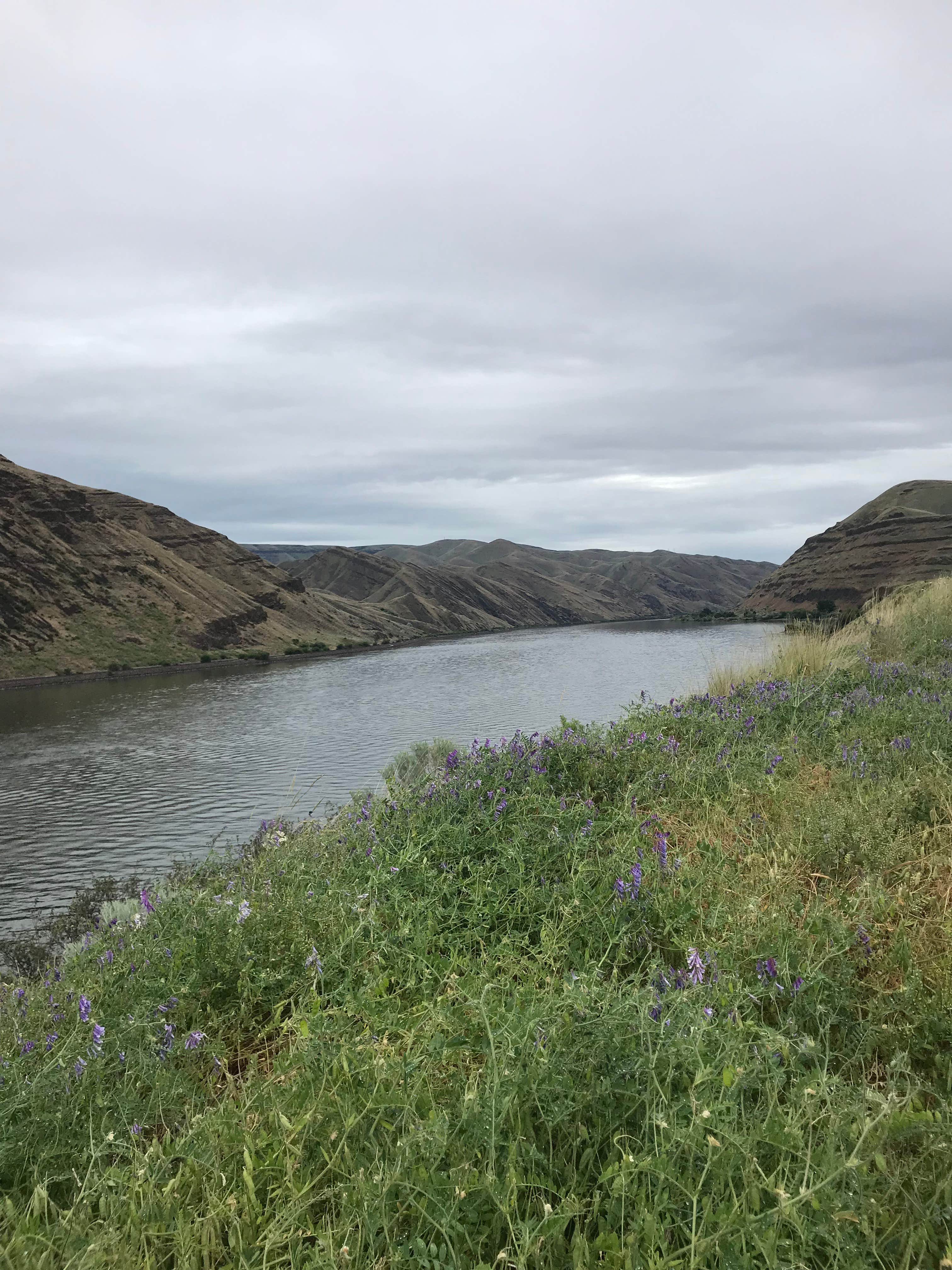 Camper-submitted photo at Chief Timothy Park near Deary, ID