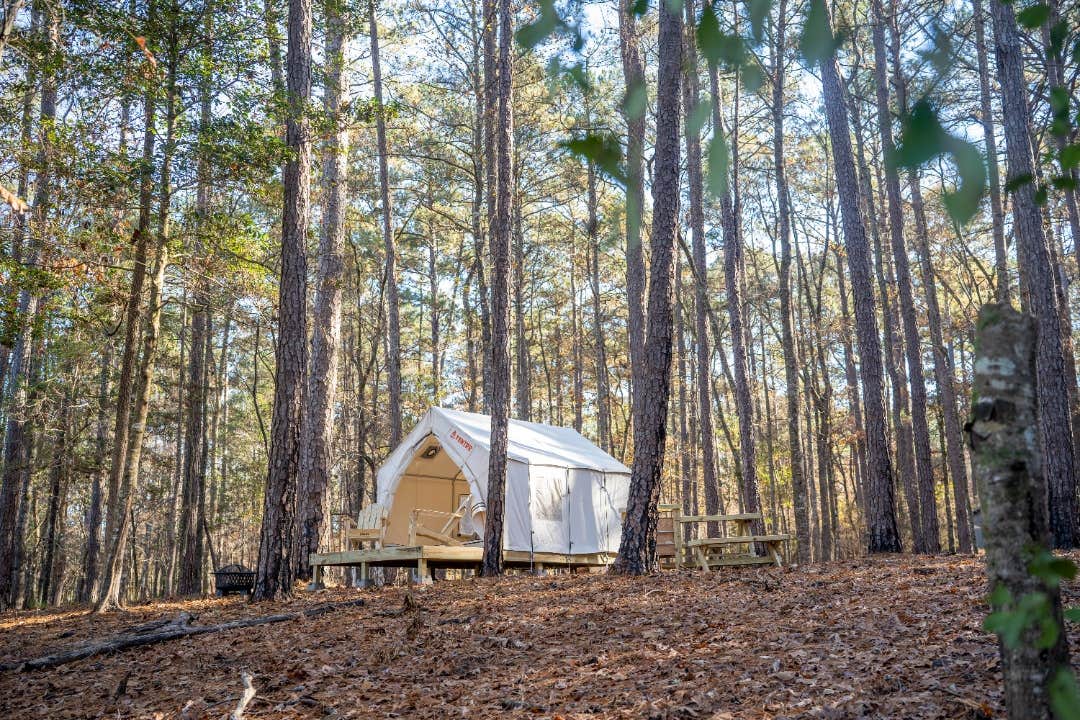 The Dyrt's photo at Tentrr State Park Site - Mississippi Clarkco State Park - Lakeview C - Single Camp near Decatur, MS