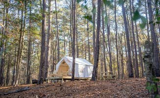 The Dyrt's photo at Tentrr State Park Site - Mississippi Clarkco State Park - Lakeview C - Single Camp near Silas, AL