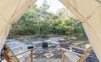 The Dyrt's photo at Tentrr State Park Site - Mississippi Buccaneer State Park - Woodland D - Single Camp near Kiln, MS