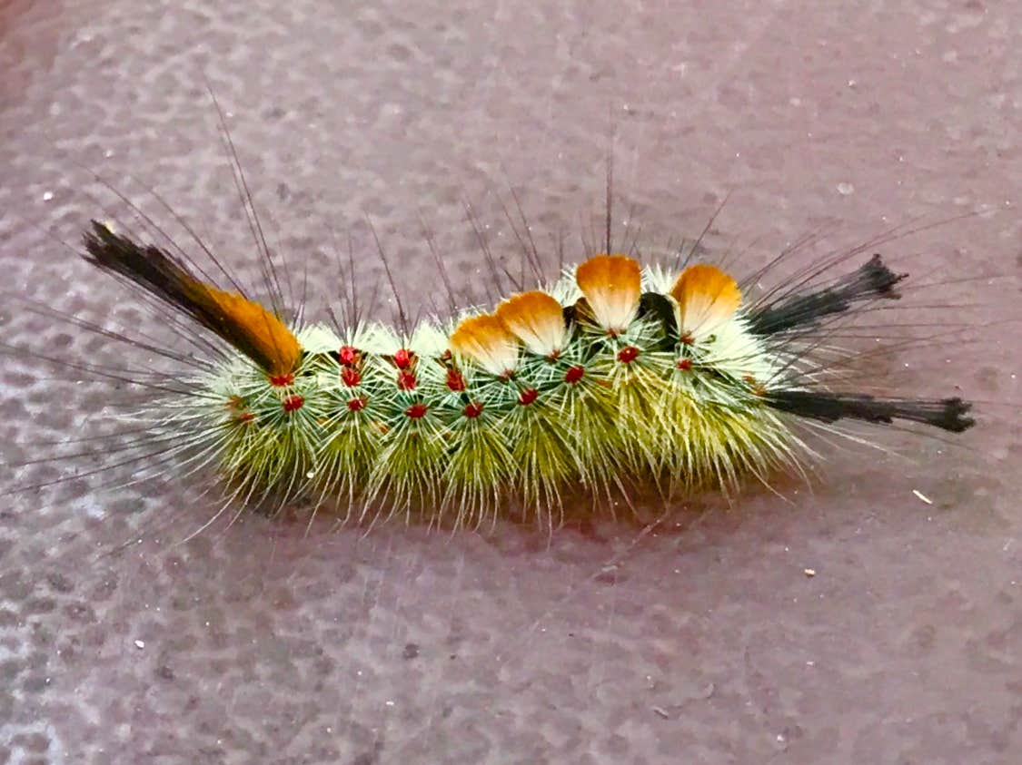 Camper-submitted photo at Sunset Point Campground near Mendocino National Forest