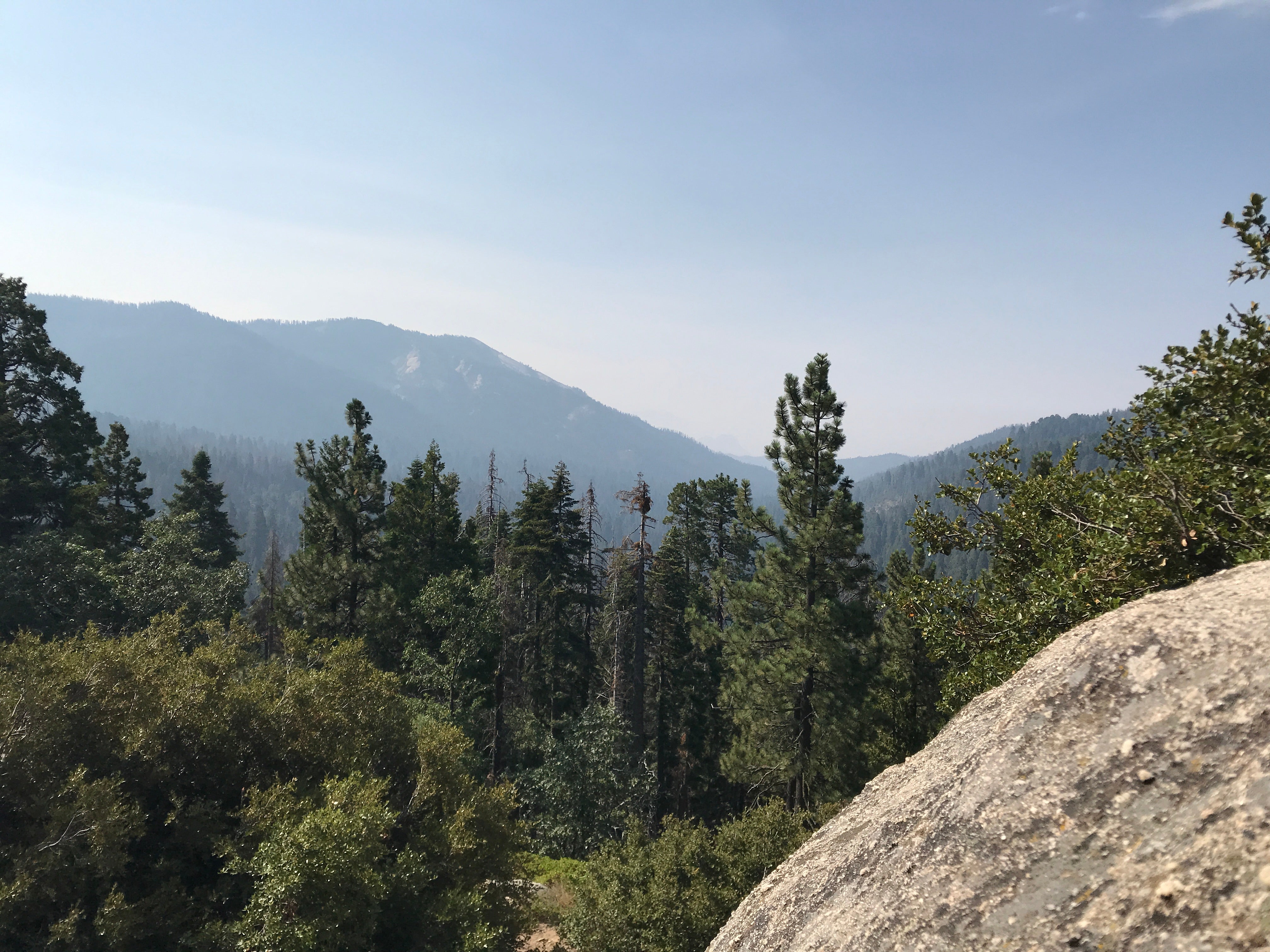 Hiking Sequoia