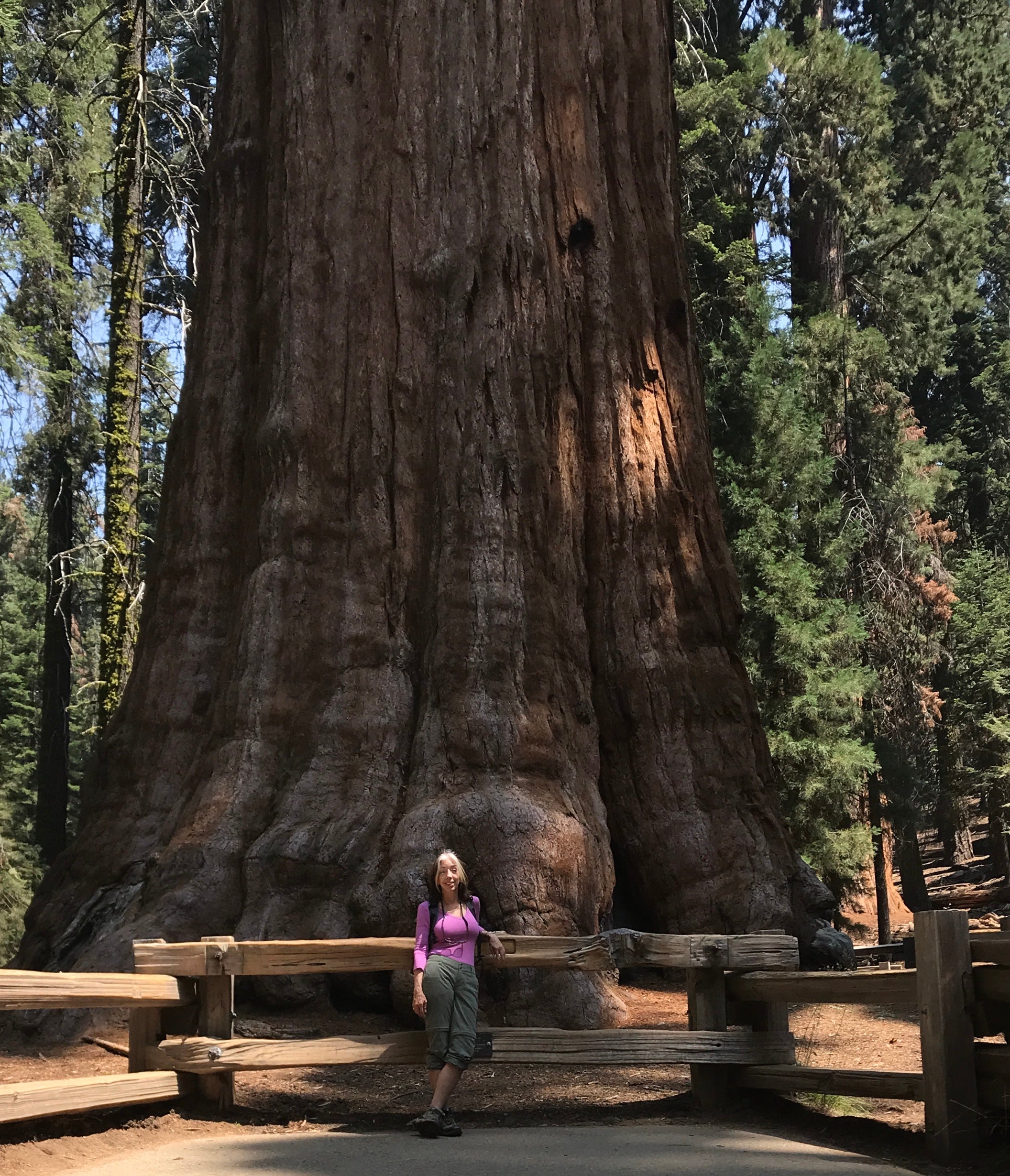 General Sherman - gotta see it while you’re there..