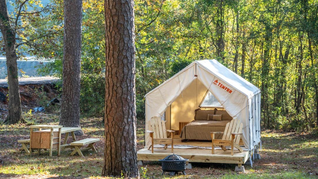 The Dyrt's photo at Tentrr State Park Site - Mississippi Roosevelt State Park - Tall Trees G near Walnut Grove, MS