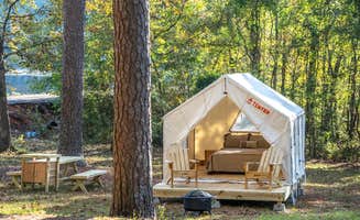 The Dyrt's photo at Tentrr State Park Site - Mississippi Roosevelt State Park - Tall Trees G near Walnut Grove, MS