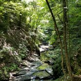 Review photo of Fillmore Glen State Park by Katarina  M., September 29, 2018