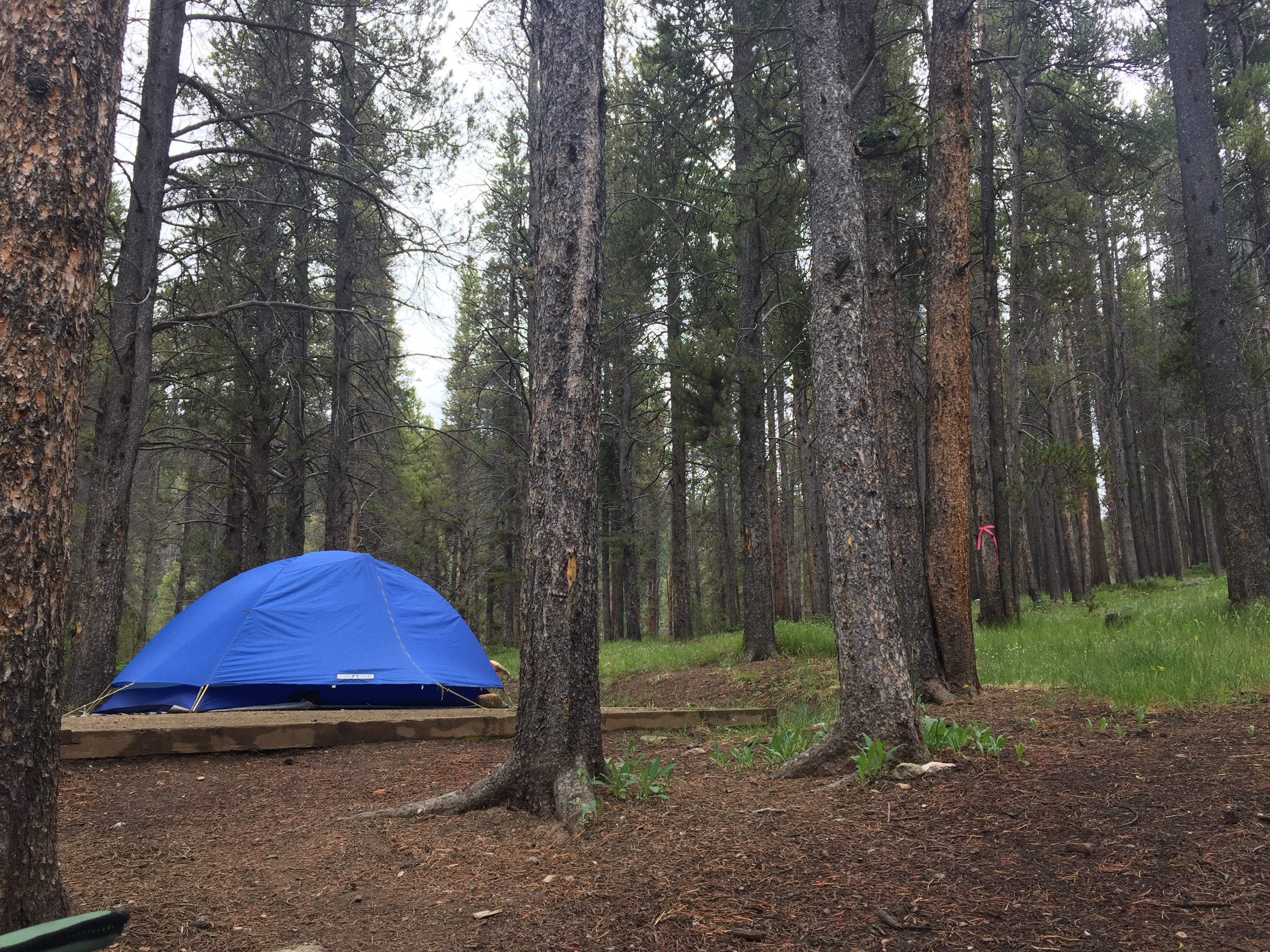 My campsite 