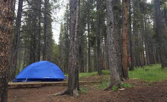 Maddy D.'s photo at Lakeview Gunnison near Pitkin, CO