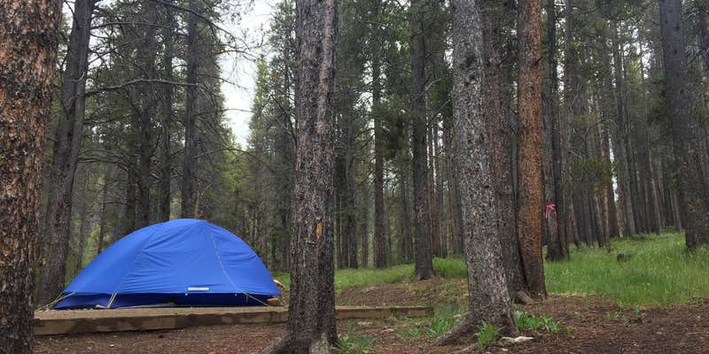 Camper submitted image from Lakeview Gunnison