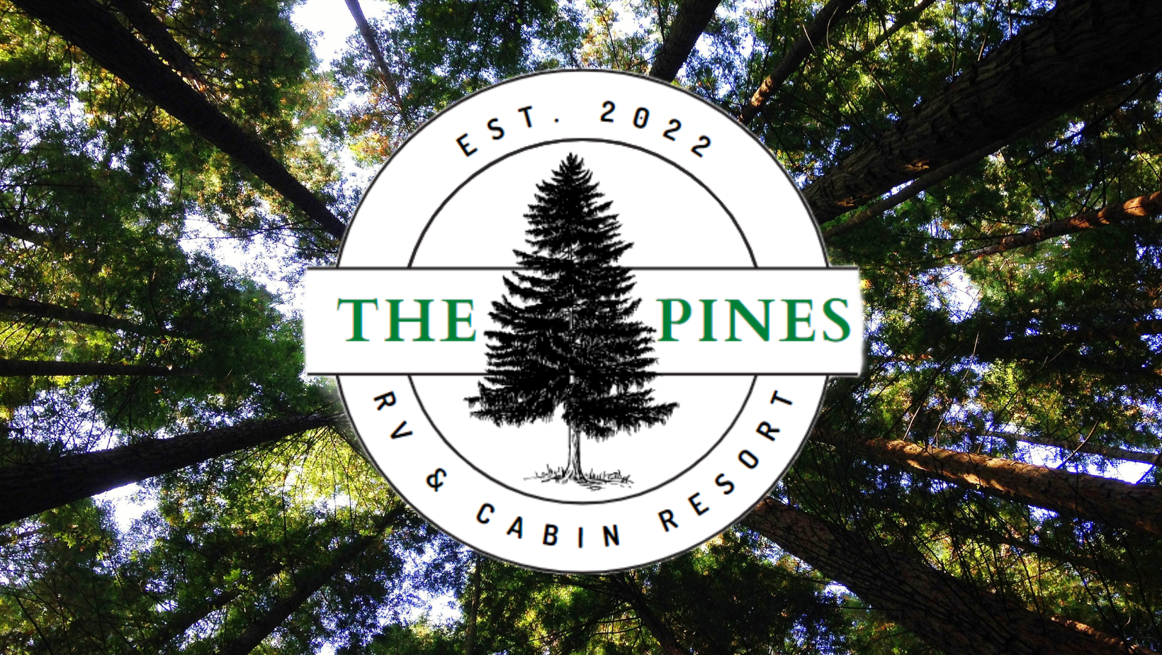 Camping near Winnsboro City RV Park: The Pines RV & Cabin Resort, Mount Vernon, Texas