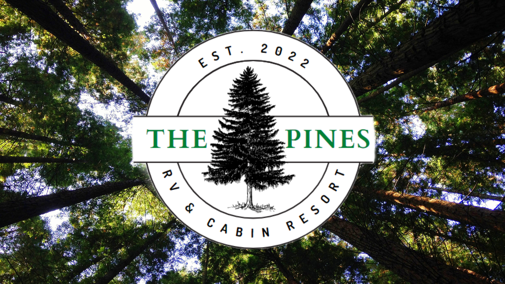 Camper submitted image from The Pines RV & Cabin Resort - 1