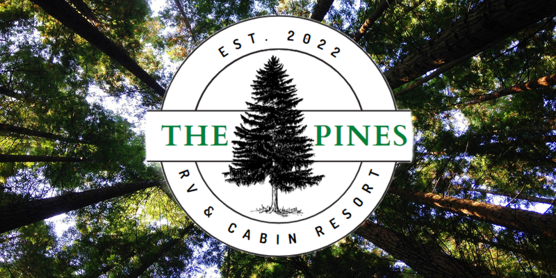 Camper submitted image from The Pines RV & Cabin Resort
