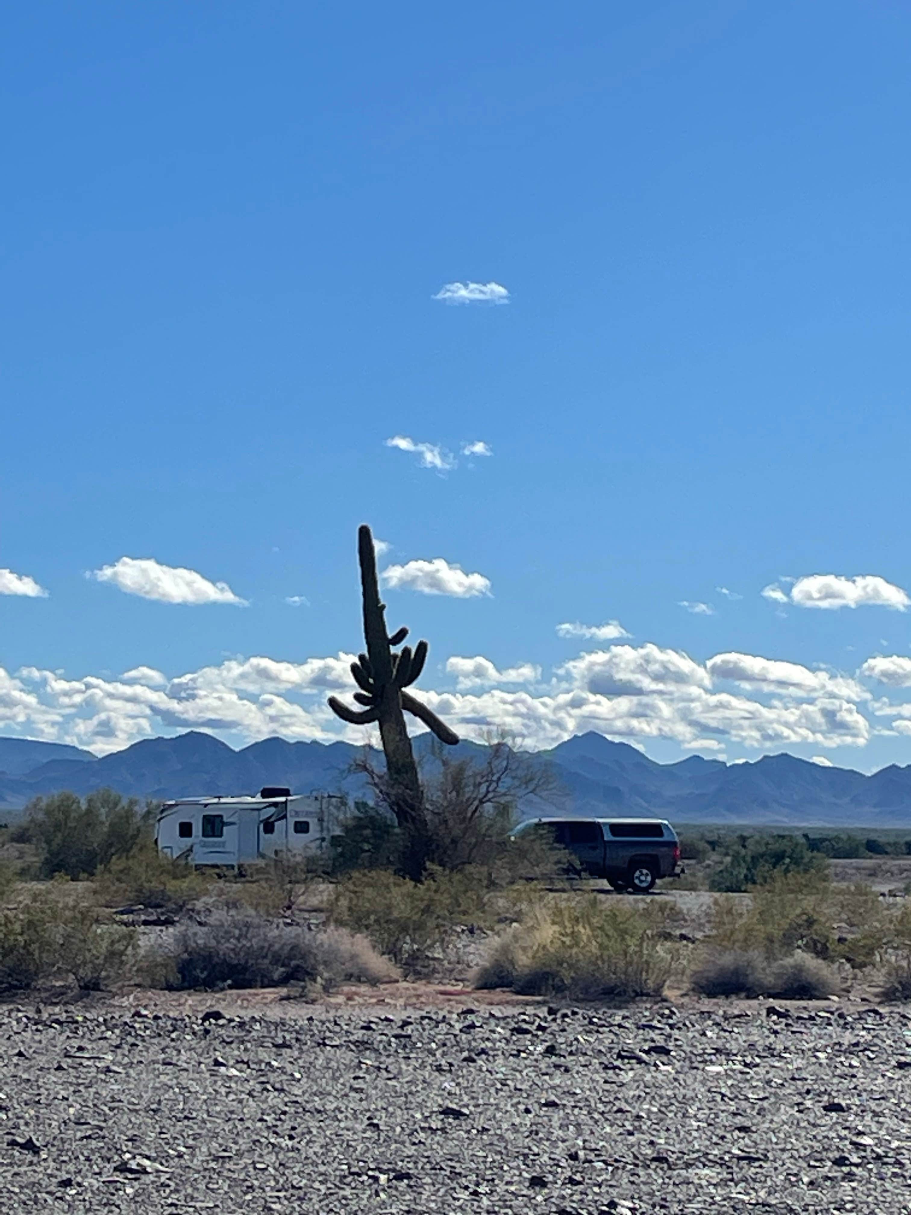 Camper submitted image from Plamosa BLM Dispersed Camping Area - 5