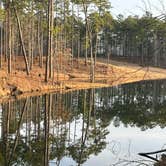 Review photo of Gum Springs Recreation Area — Kisatchie National Forest by Chris M., January 16, 2023