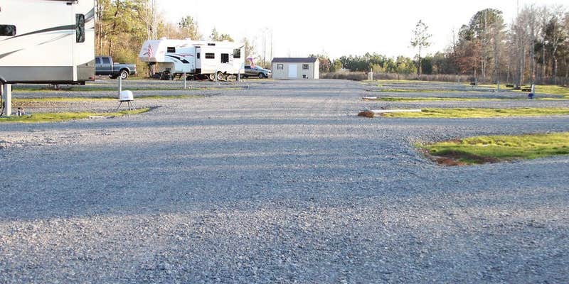Camper submitted image from Nature's Design RV Park