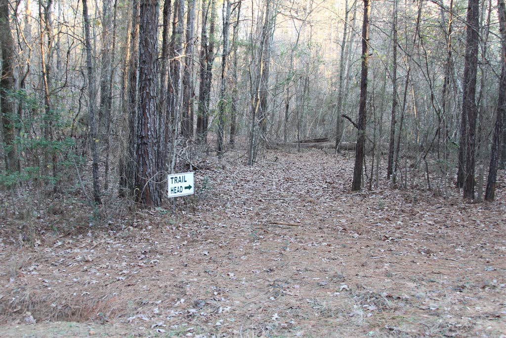 Camper-submitted photo at Nature's Design RV Park near Jefferson, TX