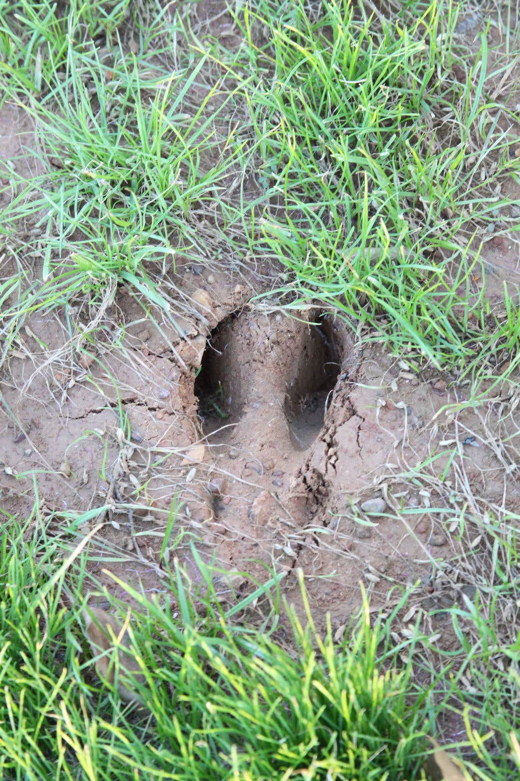 Camper-submitted photo at Nature's Design RV Park near Jefferson, TX
