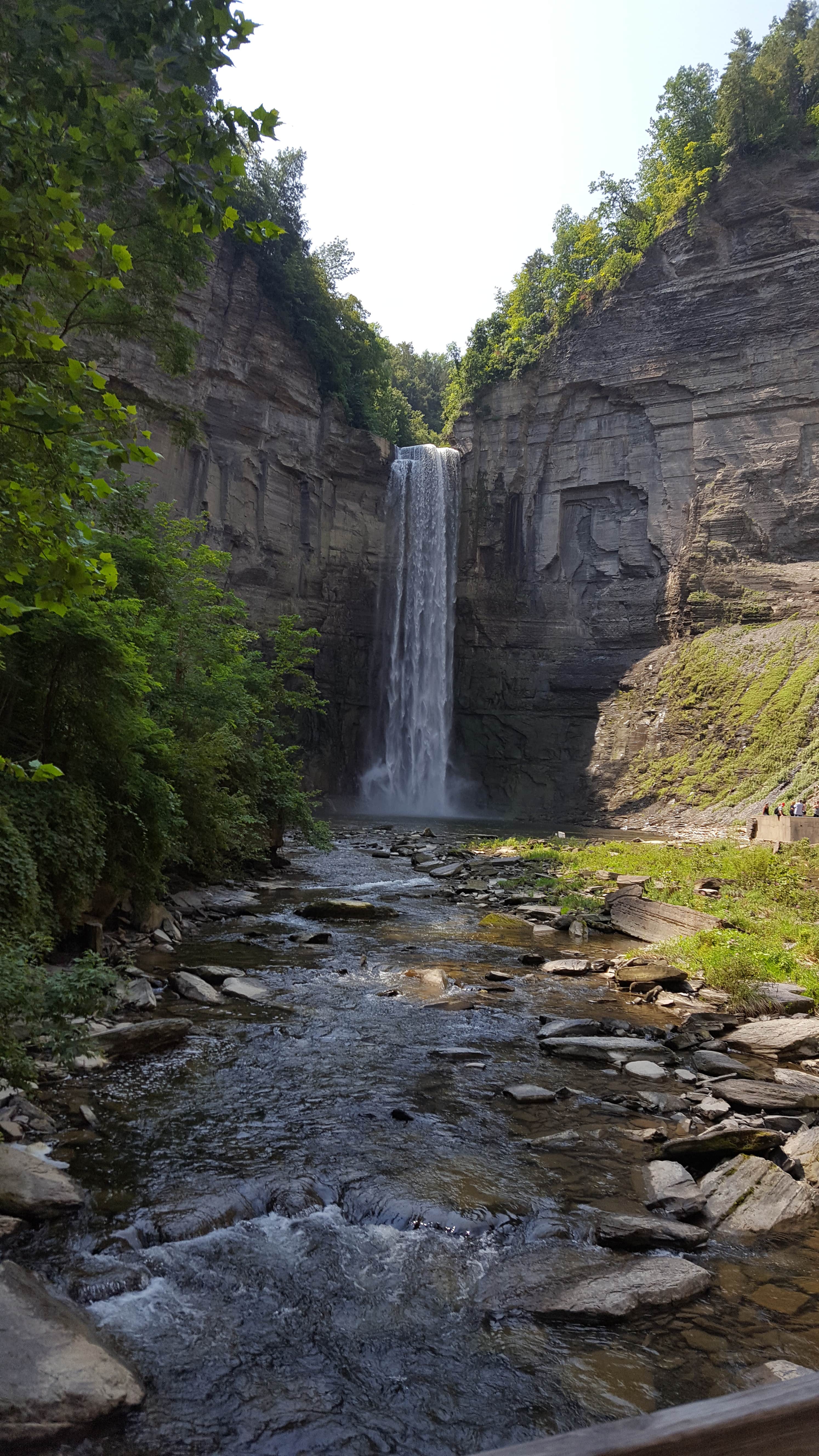 Camper submitted image from Taughannock Falls State Park Campground - 4